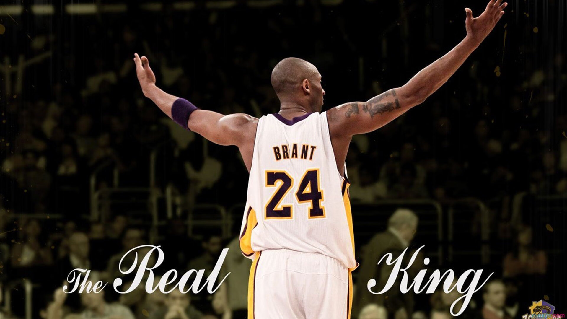 当山西的月光照亮金州，马克西生涯之夜与篮球的无限可能